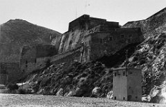 ORAN 02427